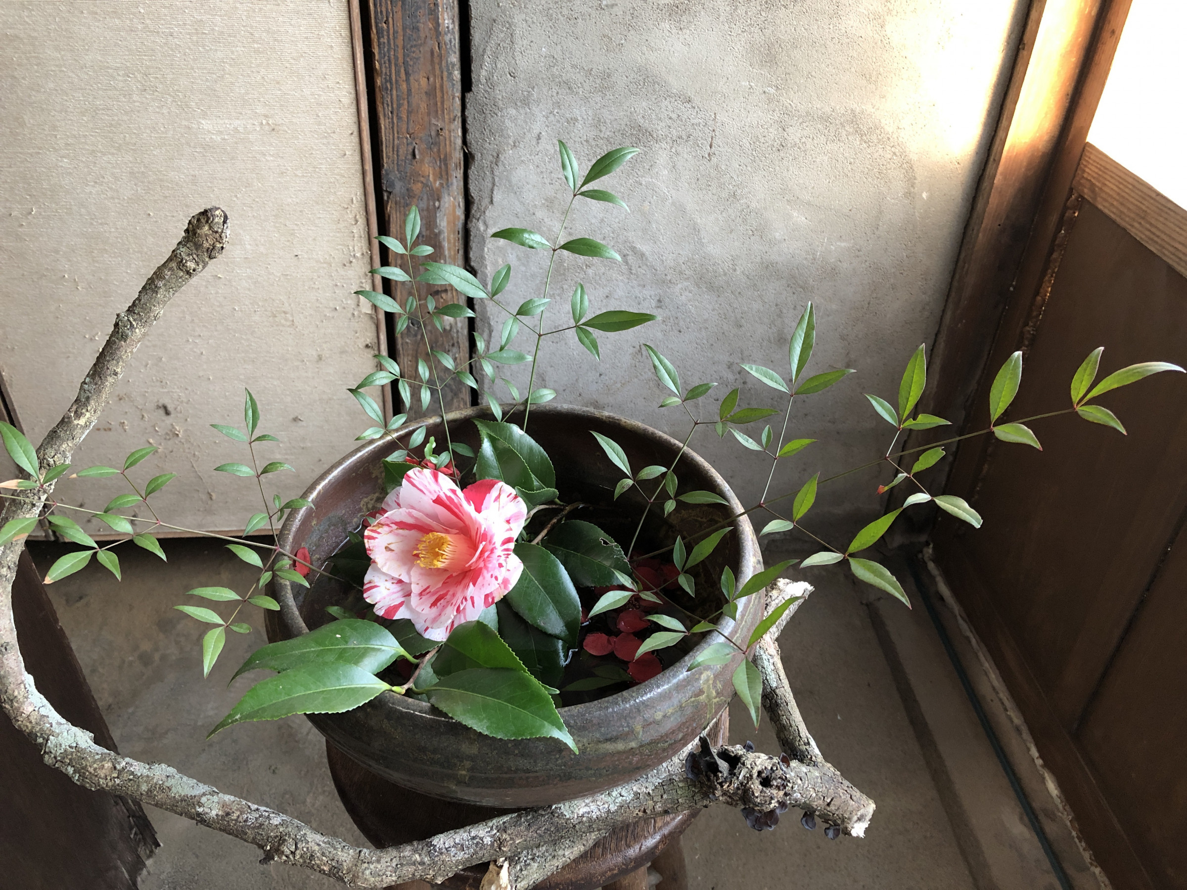 陶芸作品に寄り添う